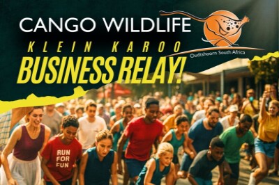 Cango Wildlife Klein Karoo Business Relay